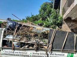 Recycling Services for Junk in Brush, CO